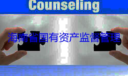 理委员会党委副书记王资产监督管查调查有福接受审海南省国有